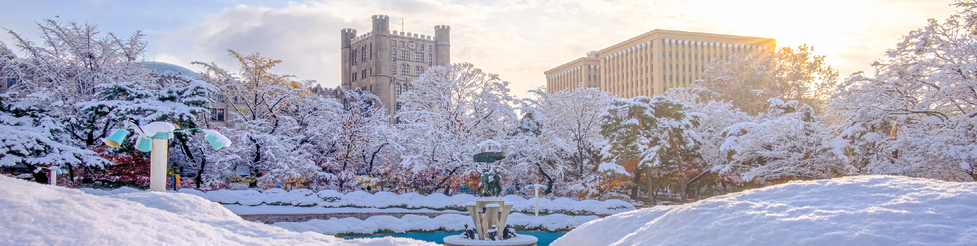 이미지설명입니다.